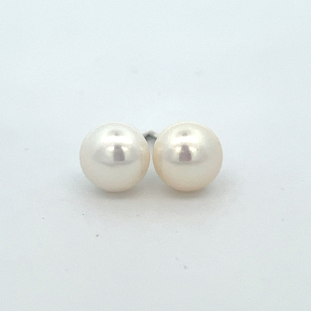 Freshwater Pearl Studs