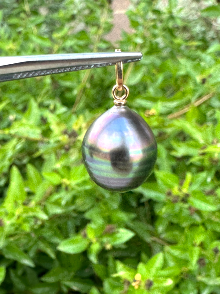 14k Tahitian Pendant
