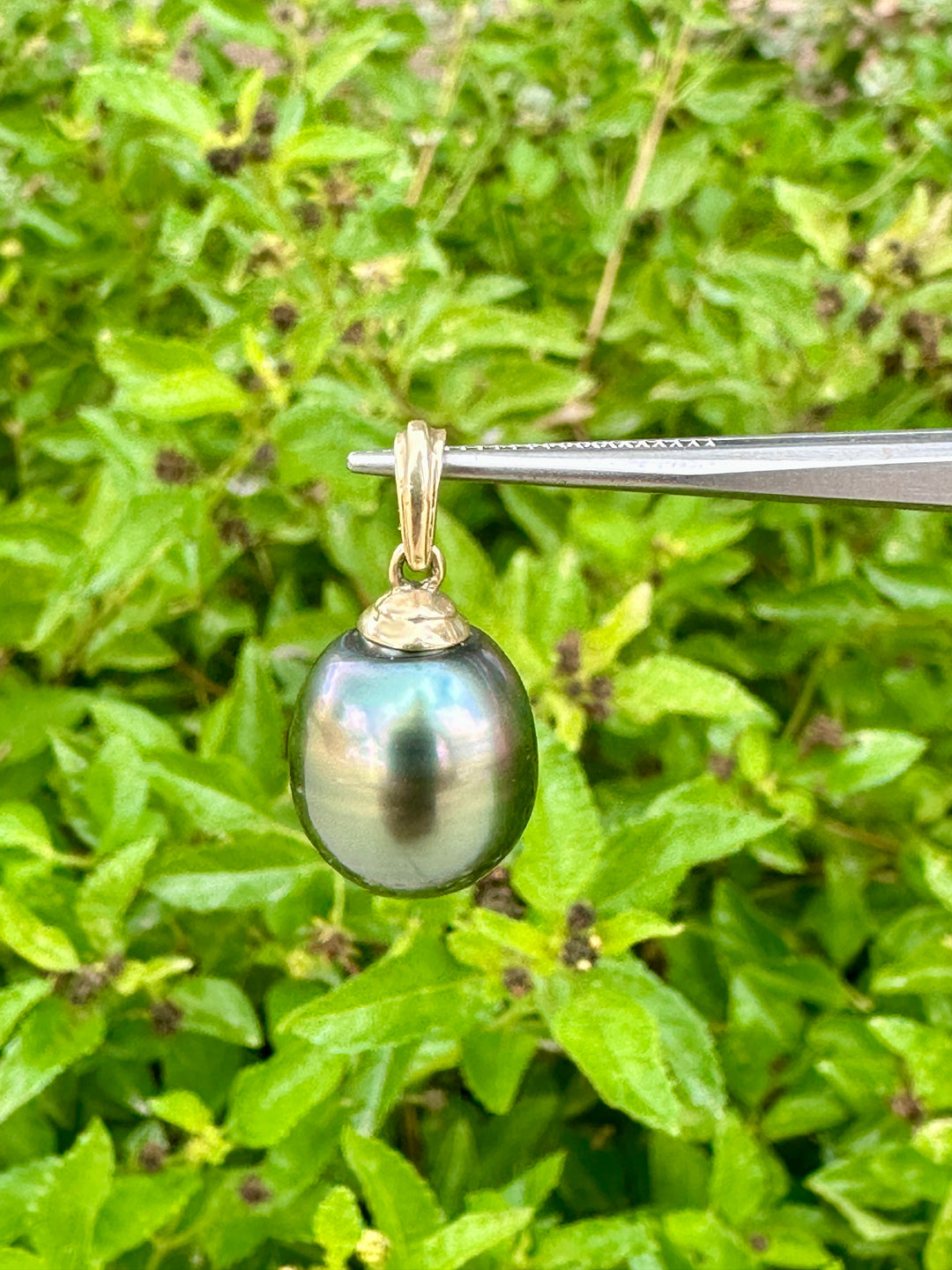 Tahitian Pearl Pendant