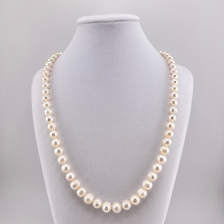 Freshwater Pearl Necklace