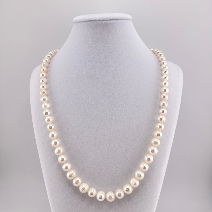 Freshwater Pearl Necklace