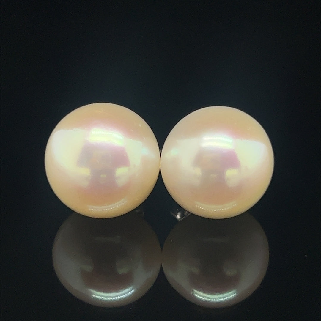 Freshwater Pearl Studs