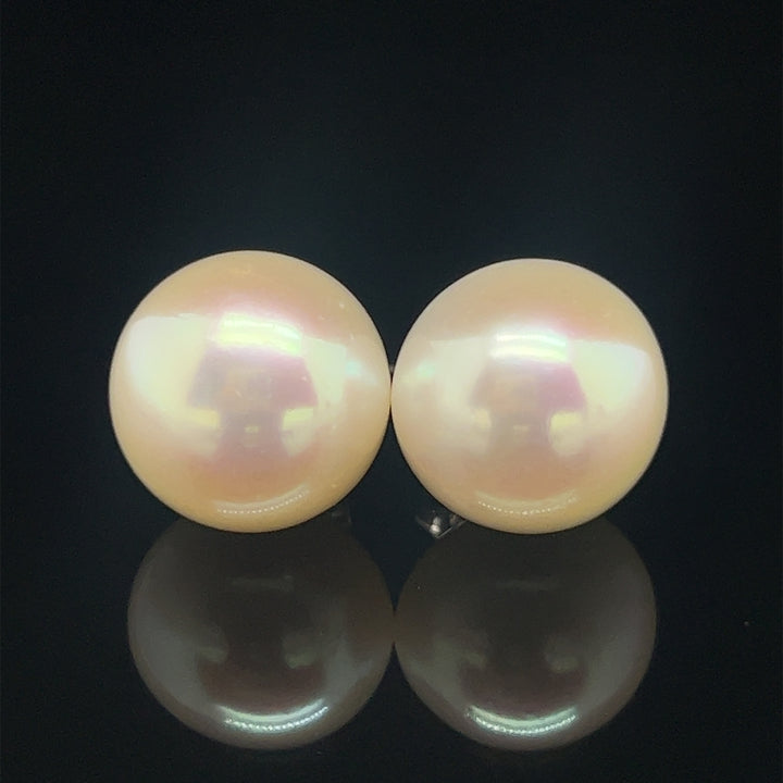 Freshwater Pearl Studs