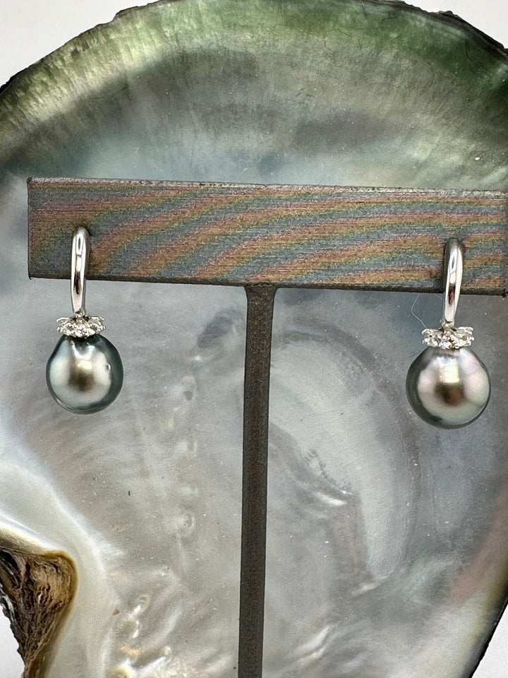 Tahitian Pearl Earrings