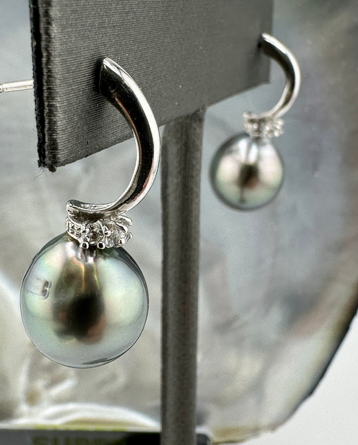 Tahitian Pearl Earrings