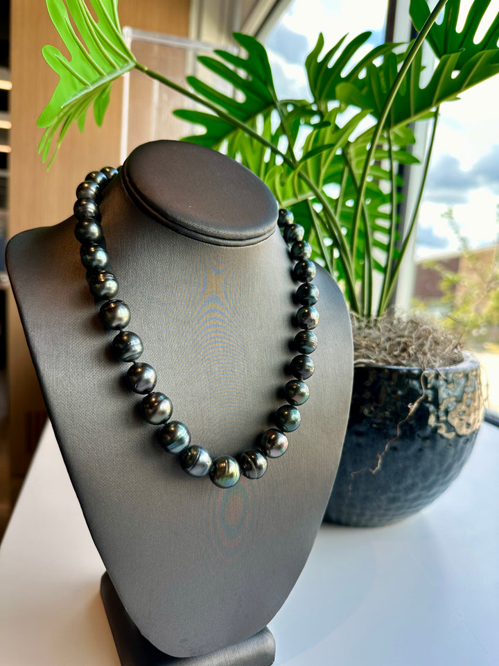 Tahitian Pearl Necklace