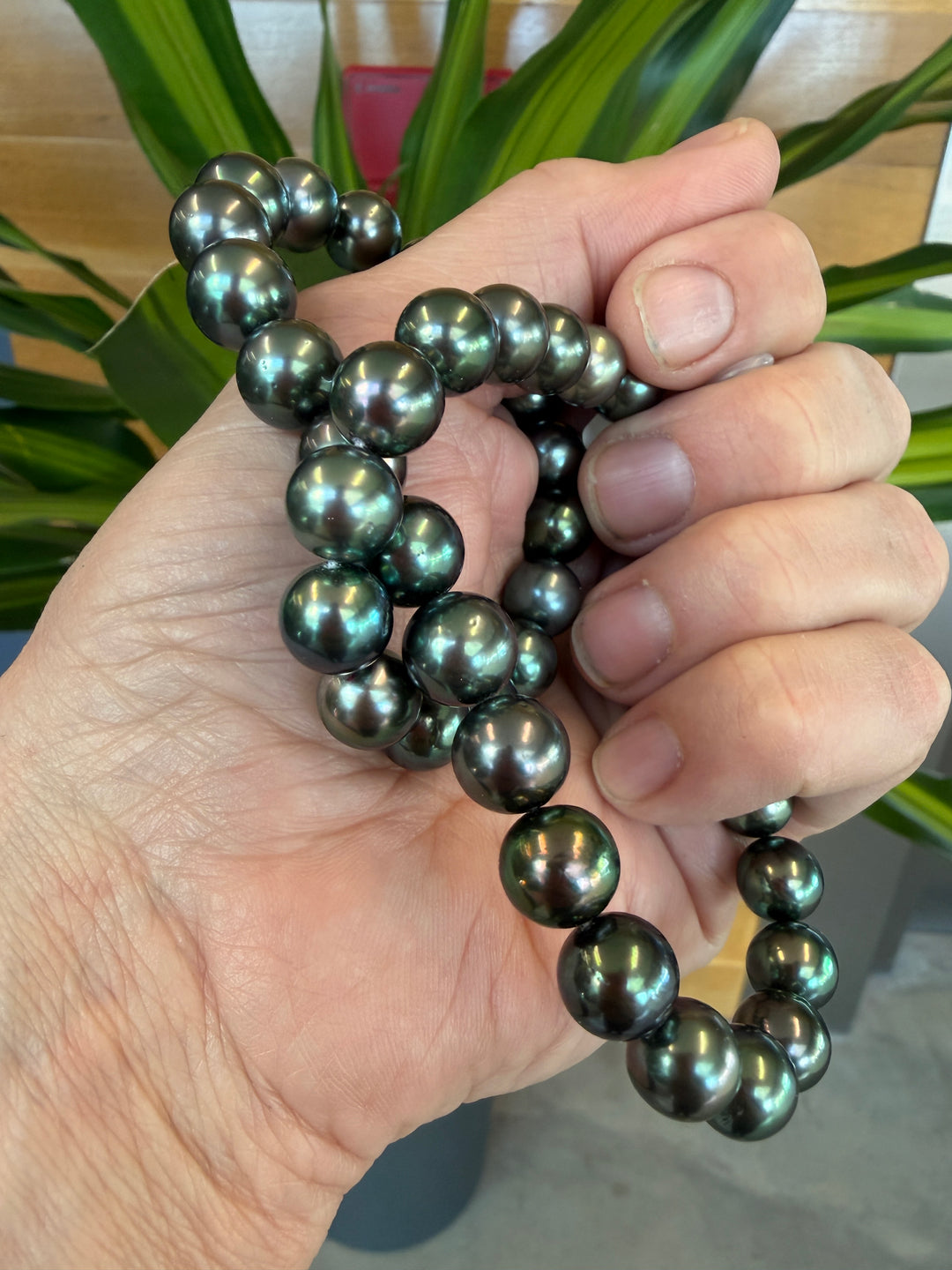 Tahitian ("Black Pearl") Necklace in Peacock Green