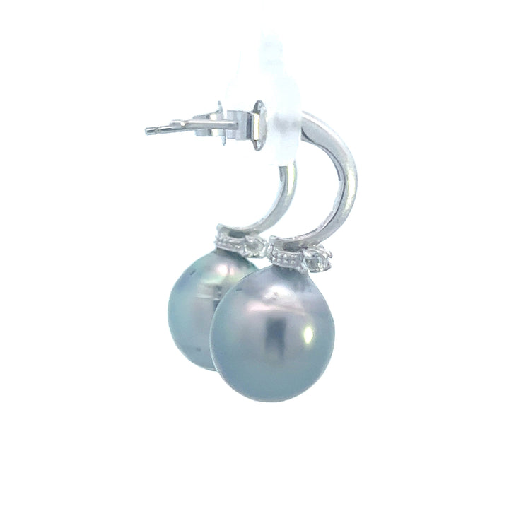 Tahitian Pearl Earrings